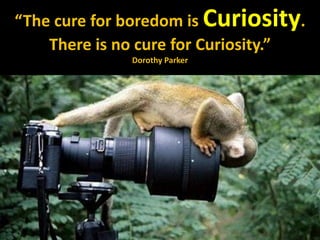 disruptive curiosity“The cure for boredom is Curiosity.
There is no cure for Curiosity.”
Dorothy Parker
 