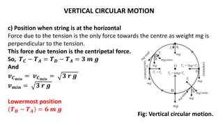 VERTICAL CIRCULAR MOTION
c) Position when string is at the horizontal
Force due to the tension is the only force towards the centre as weight mg is
perpendicular to the tension.
This force due tension is the centripetal force.
So, 𝑻𝑪 − 𝑻𝑨 = 𝑻𝑫 − 𝑻𝑨 = 𝟑 𝒎 𝒈
And
𝒗𝑪𝒎𝒊𝒏
= 𝒗𝑪𝒎𝒊𝒏
= 𝟑 𝒓 𝒈
𝒗𝒎𝒊𝒏 = 𝟑 𝒓 𝒈
Lowermost position
𝑻𝑩 − 𝑻𝑨 = 𝟔 𝒎 𝒈
Fig: Vertical circular motion.
 