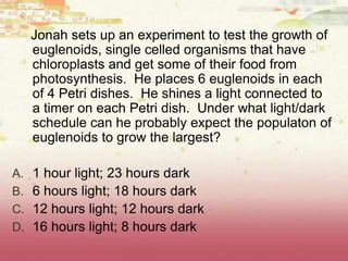 Jonah sets up an experiment to test the growth of
euglenoids, single celled organisms that have
chloroplasts and get some of their food from
photosynthesis. He places 6 euglenoids in each
of 4 Petri dishes. He shines a light connected to
a timer on each Petri dish. Under what light/dark
schedule can he probably expect the populaton of
euglenoids to grow the largest?
A. 1 hour light; 23 hours dark
B. 6 hours light; 18 hours dark
C. 12 hours light; 12 hours dark
D. 16 hours light; 8 hours dark
 