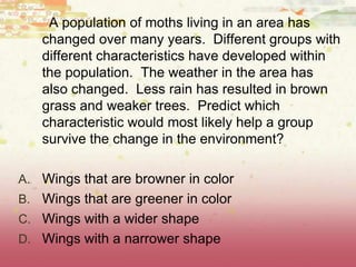 A population of moths living in an area has
changed over many years. Different groups with
different characteristics have developed within
the population. The weather in the area has
also changed. Less rain has resulted in brown
grass and weaker trees. Predict which
characteristic would most likely help a group
survive the change in the environment?
A. Wings that are browner in color
B. Wings that are greener in color
C. Wings with a wider shape
D. Wings with a narrower shape
 