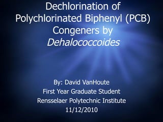 Dechlorination of Polychlorinated Biphenyl (PCB) Congeners by  Dehalococcoides By: David VanHoute First Year Graduate Student Rensselaer Polytechnic Institute 11/12/2010 