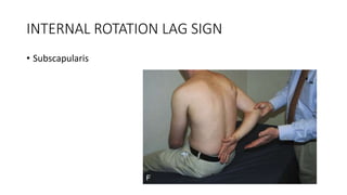 ROTATOR CUFF[4273].pptx