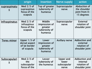 actionNerve supplyinsertionorigin
Abduction of
the shoulder
joint from 0-
15 degrees
Suprascapular
nerve
Top of greater
tuberosity of
humerus
Med 2/3 of
supraspinus
fossa of the
scapula
supraspinatu
s
External
rotation of
shoulder joint
Suprascapular
nerve
Middle
impression of
greater
tuberosity of
humerus
Med 2/3 of
infraspinus
fossa of the
scapula
Infraspinatus
Adduction and
external
rotation of
shoulder joint
Axillary nerveLower
impression of
greater
tuberosity of
humerus
Upper 1/3 of
dorsal aspect
of lat border
of scapula
Teres minor
Adduction and
internal
rotation of
shoulder joint
Upper and
lower
subscapular
nerve
Lesser
tuberosity of
the humerus
Med 2/3 of
the
subscapular
fossa of the
Subscapulari
s
 