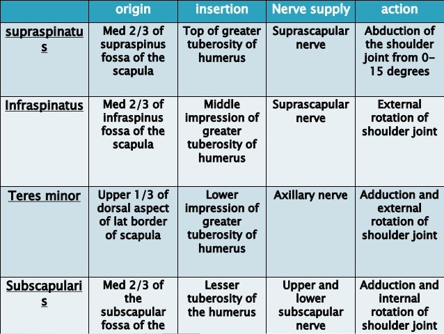 Rotator cuff disorder