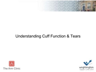 Understanding Cuff Function & Tears
 