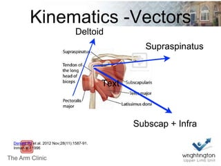 Kinematics -Vectors
Supraspinatus
Subscap + Infra
Deltoid
Text
Denard PJ et al. 2012 Nov;28(11):1587-91.
Inman et l 1996
 