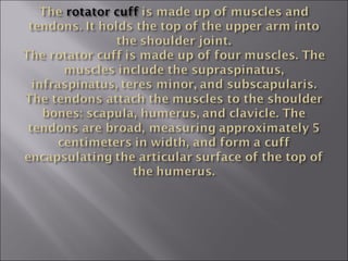 Rotator cuff injuries | PPT