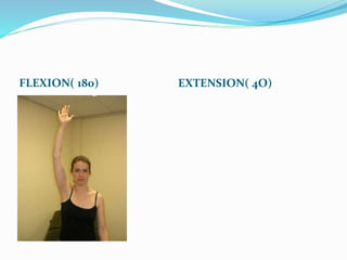 FLEXION( 180) EXTENSION( 4O)
 