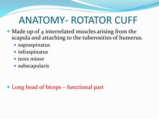 ANATOMY- ROTATOR CUFF
 Made up of 4 interrelated muscles arising from the
scapula and attaching to the tuberosities of humerus.
 supraspinatus
 infraspinatus
 teres minor
 subscapularis
 Long head of biceps – functional part
 