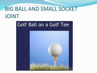 BIG BALL AND SMALL SOCKET
JOINT
 