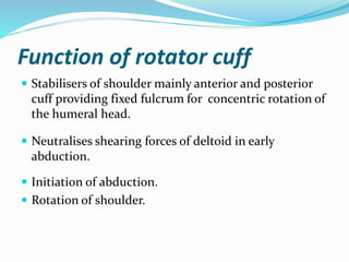Function of rotator cuff
 Stabilisers of shoulder mainly anterior and posterior
cuff providing fixed fulcrum for concentric rotation of
the humeral head.
 Neutralises shearing forces of deltoid in early
abduction.
 Initiation of abduction.
 Rotation of shoulder.
 