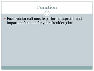 Function
 Each rotator cuff muscle performs a specific and
important function for your shoulder joint
 