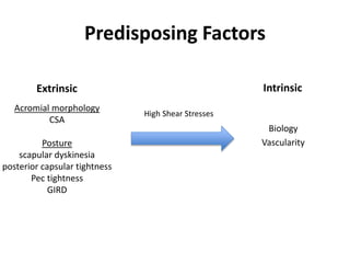 Predisposing Factors
Intrinsic
Biology
Vascularity
Extrinsic
Acromial morphology
CSA
Posture
scapular dyskinesia
posterior capsular tightness
Pec tightness
GIRD
High Shear Stresses
 