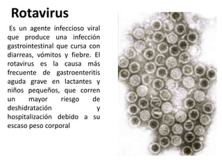 Rotavirus Es un agente infeccioso viral que produce una infección gastrointestinal que cursa con diarreas, vómitos y fiebre. El rotavirus es la causa más frecuente de gastroenteritis aguda grave en lactantes y niños pequeños, que corren un mayor riesgo de deshidratación y hospitalización debido a su escaso peso corporal 