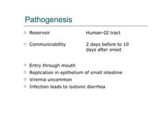 Pathogenesis Reservoir Human-GI tract Communicability 2 days before to 10 days after onset Entry through mouth Replication in epithelium of small intestine Viremia uncommon Infection leads to isotonic diarrhea 