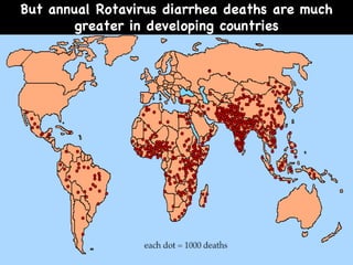 But annual Rotavirus diarrhea deaths are much greater in developing countries 