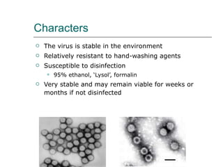 Characters The virus is stable in the environment Relatively resistant to hand-washing agents Susceptible to disinfection 95% ethanol, ‘Lysol’, formalin Very stable and may remain viable for weeks or months if not disinfected 
