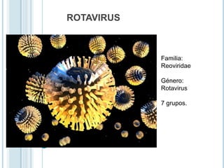 ROTAVIRUS



            Familia:
            Reoviridae

            Género:
            Rotavirus

            7 grupos.
 