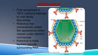 ROTAVIRUS
• First recognized in
1973, rotavirus belongs
to viral family
Reoviridae
• Rotavirus has
characteristic wheel
like appearance when
viewed under electron
microscope
• Rotavirus is triple
layered capsule
surrounding RNA
4Kuldeep Vyas Asst. Prof CHN
 