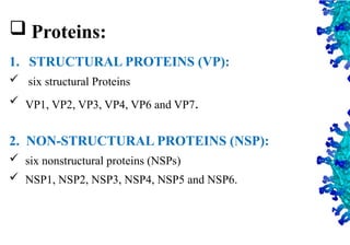 11
 Proteins:
1. STRUCTURAL PROTEINS (VP):
 six structural Proteins
 VP1, VP2, VP3, VP4, VP6 and VP7.
2. NON-STRUCTURAL PROTEINS (NSP):
 six nonstructural proteins (NSPs)
 NSP1, NSP2, NSP3, NSP4, NSP5 and NSP6.
 