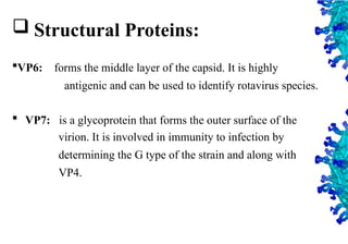 13
VP6: forms the middle layer of the capsid. It is highly
antigenic and can be used to identify rotavirus species.
 VP7: is a glycoprotein that forms the outer surface of the
virion. It is involved in immunity to infection by
determining the G type of the strain and along with
VP4.
 Structural Proteins:
 