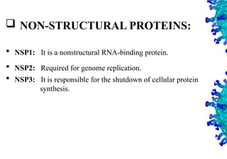 14
 NON-STRUCTURAL PROTEINS:
 NSP1: It is a nonstructural RNA-binding protein.
 NSP2: Required for genome replication.
 NSP3: It is responsible for the shutdown of cellular protein
synthesis.
 