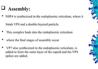 25
 Assembly:
 NSP4 is synthesized in the endoplasmic reticulum, where it
binds VP4 and a double-layered particle.
 This complex buds into the endoplasmic reticulum
 where the ﬁnal stages of assembly occur
 VP7 also synthesized in the endoplasmic reticulum, is
added to form the outer layer of the capsid and the VP4
spikes are added.
 