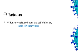 26
 Release:
 Virions are released from the cell either by,
lysis or exocytosis.
 