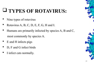 TYPES OF ROTAVIRUS:
 Nine types of rotavirus
 Rotavirus A, B, C, D, E, F, G, H and I.
 Humans are primarily infected by species A, B and C,
most commonly by species A.
 E and H infects pigs
 D, F and G infect birds
 I infect cats normally.
28
 