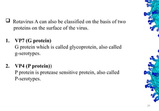 Rotavirus A can also be classified on the basis of two
proteins on the surface of the virus.
1. VP7 (G protein)
G protein which is called glycoprotein, also called
g-serotypes.
2. VP4 (P protein))
P protein is protease sensitive protein, also called
P-serotypes.
29
 