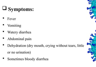 30
 Symptoms:
 Fever
 Vomiting
 Watery diarrhea
 Abdominal pain
 Dehydration (dry mouth, crying without tears, little
or no urination)
 Sometimes bloody diarrhea
 