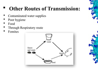 33
 Other Routes of Transmission:
 Contaminated water supplies
 Poor hygiene
 Food
 Through Respiratory route
 Fomites
 
