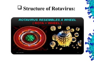 8
 Structure of Rotavirus:
 