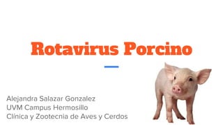 Rotavirus Porcino
Alejandra Salazar Gonzalez
UVM Campus Hermosillo
Clínica y Zootecnia de Aves y Cerdos
 