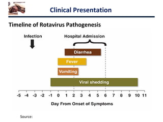 Rotavirus prevention and control | PPT