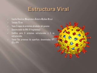 








Familia Reovirus (Respiratory-Enteric-Orphan-Virus)
Tamaño 70 nm
Tiene 3 capas de proteínas alrededor del genoma
Genoma doble de RNA (11 fragmentos)
Codifica para 6 proteínas estructurales y 5 no
estructurales
Tienes Dos proteínas de superficie, denominadas VP7
(G) y VP4

 