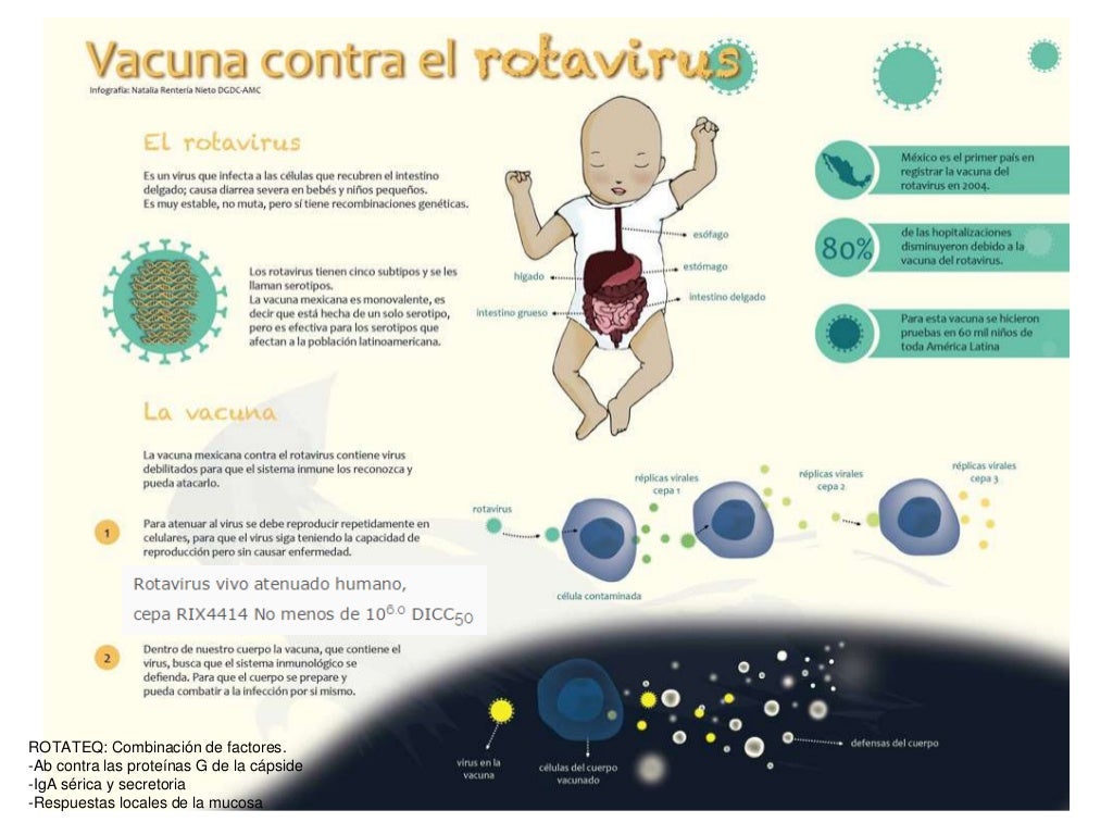 Rotavirus vacunacion