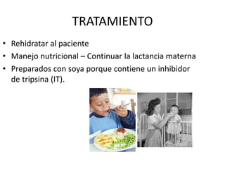 TRATAMIENTO
• Rehidratar al paciente
• Manejo nutricional – Continuar la lactancia materna
• Preparados con soya porque contiene un inhibidor
de tripsina (IT).
 