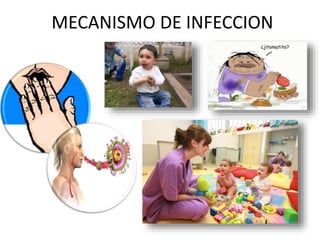 MECANISMO DE INFECCION
 