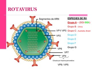 Rotavirus y Eelectroforesis | PPTX
