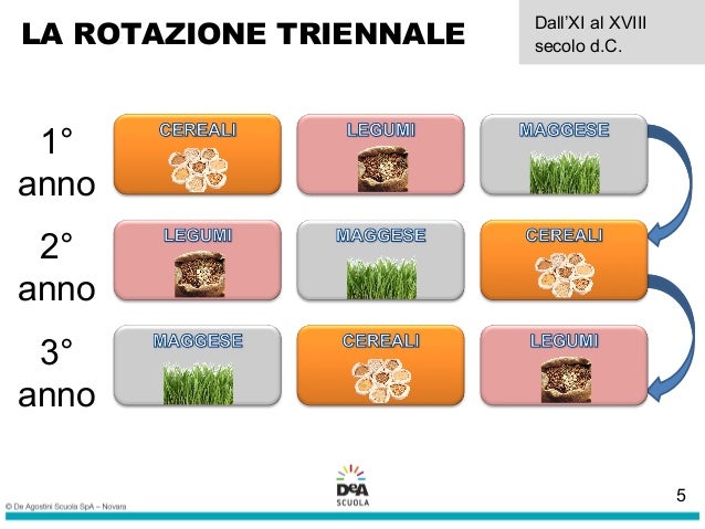 La rotazione delle colture