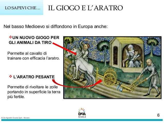 La rotazione delle colture