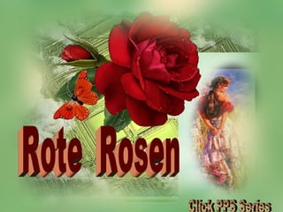 Rote  Rosen  Click PPS Series 