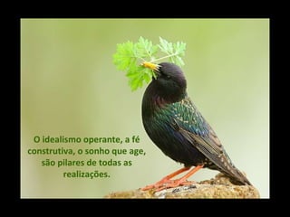 O idealismo operante, a fé construtiva, o sonho que age, são pilares de todas as realizações. 