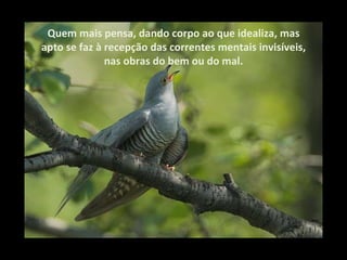Quem mais pensa, dando corpo ao que idealiza, mas apto se faz à recepção das correntes mentais invisíveis, nas obras do bem ou do mal. 