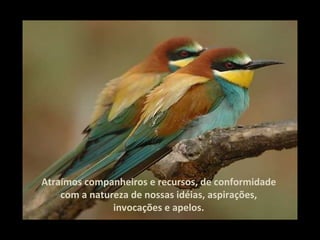 Atraímos companheiros e recursos, de conformidade com a natureza de nossas idéias, aspirações, invocações e apelos. 