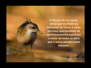 A bênção de um corpo, ainda que mutilado ou disforme, na Terra, é como preciosa oportunidade de aperfeiçoamento espiritual, o maior de todos os dons que o nosso planeta pode oferecer. 