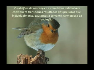 Os aleijões de nascença e as moléstias indefiníveis constituem transitórios resultados dos prejuízos que, individualmente, causamos à corrente harmoniosa da evolução. 