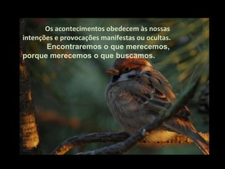Os acontecimentos obedecem às nossas intenções e provocações manifestas ou ocultas .   Encontraremos o que merecemos, porque merecemos o que buscamos. 