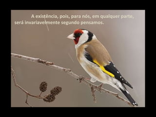   A existência, pois, para nós, em qualquer parte, será invariavelmente segundo pensamos. 